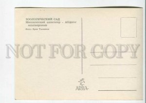 199589 ZOO American alligator old postcard