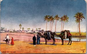 Egypt A Rest By The Way Desert Vintage Postcard  C011