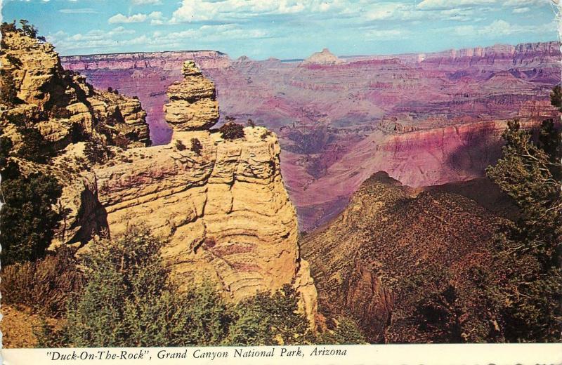 Duck On The Rock Grand Canyon National Park Arizona United States Air Mail PC