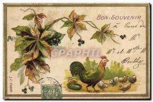 Old Postcard Rooster Chicks