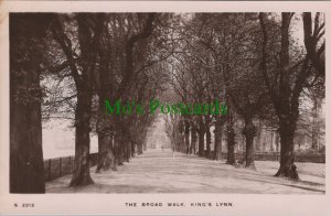 Norfolk Postcard - The Broad Walk, King's Lynn  RS32887