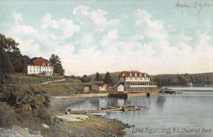 Lake Hopatcong New Jersey Chestnut Point Scenic View Vintage Postcard AA33450