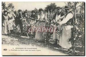 Old Postcard Folklore Harvest Vine Champagne grape picking in the high vineya...