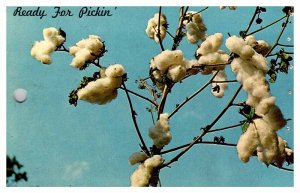 Postcard NATURE SCENE Waynesboro Pennsylvania PA AT9747