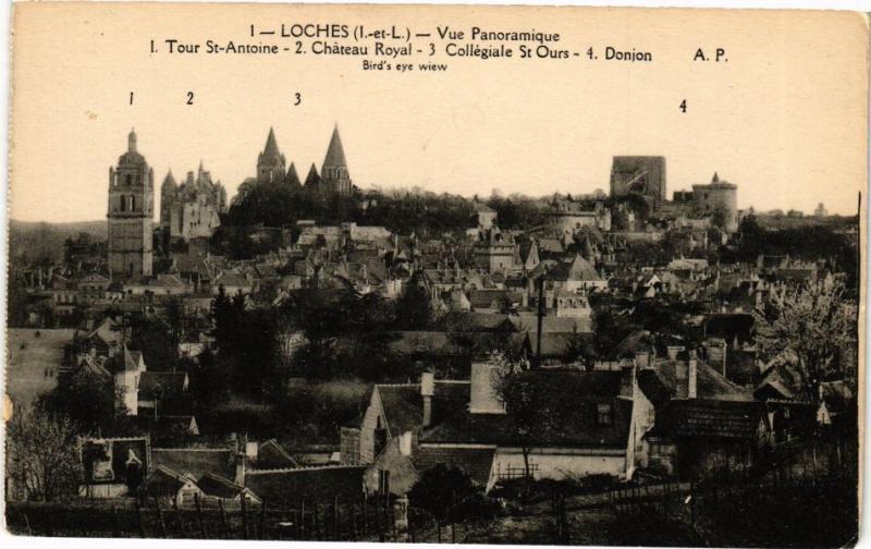 CPA LOCHES - Vue Panoramique - Tour St-Antoine - Chateau Royal (228841)