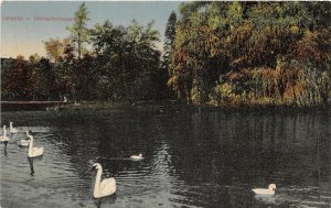 Lot 75 utrecht netherlands swan wilhelmina park