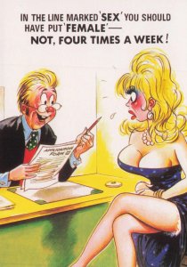 Sexy Secretary At Job Interview Sex Forms Bamforth Comic Postcard