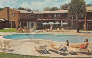 THE ADVENTURE INN Hilton Head Island, SC Roadside Swimming Pool c1960s Postcard