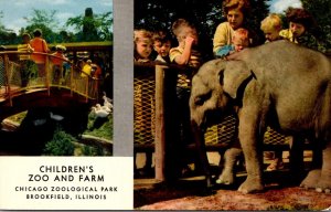 Illinois Brookfield Chicago Zoological Park Children's Zoo & Farm Baby E...