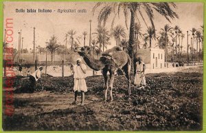 af6511 - LIBYA - VINTAGE POSTCARD - ETHNIC Costumes - 1912-