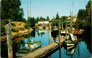 Courtenay BC Salmon Boats at Dock c1958 Postcard G37