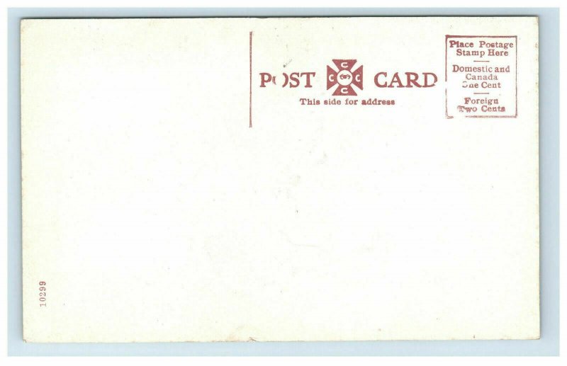 Early Cincinnati OH Zoo Gardens Buffalo Postcard