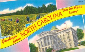Greetings From North Carolina Tar Heel State 1960s Chrome postcard