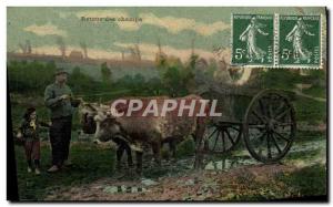 Postcard Old Driving Back Oxen of fields