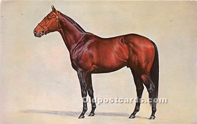 Gallant Man, Mr Comb's Spendthrift Farm Horse Racing 1960 