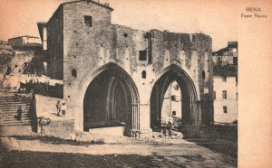 Vintage Postcard 1910's View Fonte Nuova Siena Historic Reservoir Tuscany Italy