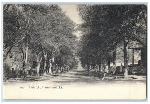 c1905's Oak Street Dirt Road Lined Trees House Hammond Louisiana LA Postcard