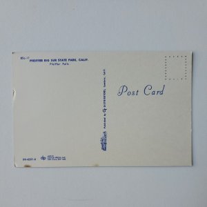 Pfeiffer Falls Big Sur State Park Big Sur CA Postcard