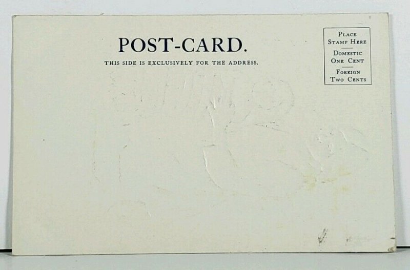 HH Tammen SQUAW and PAPOOSE c1905 Postcard E15