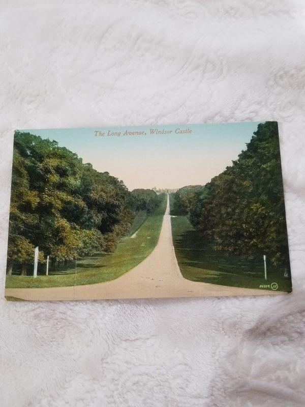 Antique Postcard Windsor Castle, The Long Avenue 