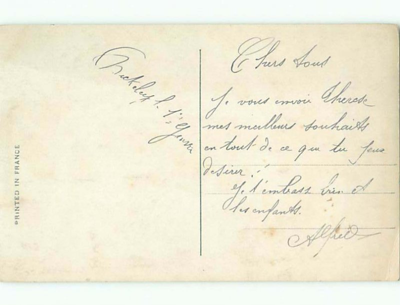 tinted rppc c1910 BEAUTIFUL FLOWERS AC9108