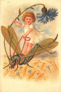 Beautiful Art Pentecost Locust Blue flower 1901 Postcard