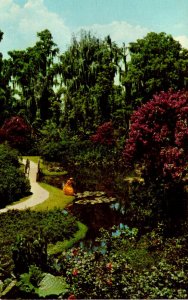 Florida Cypress Gardens Princess Flower Royalty In Bloom