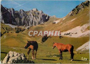 Postcard Modern Image from us horses to pastures