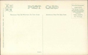 TEMPE ARIZONA AZ State Bridge Antique Postcard