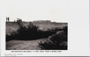 The Galveston Seawall 17 Feet High Over 4 Miles Long Texas Vintage Postcard C055