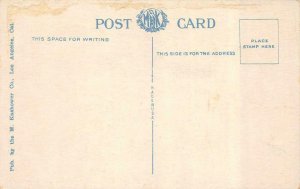 LONG BEACH, California CA   DAILY BEACH CROWD~Roller Coaster  c1920's Postcard