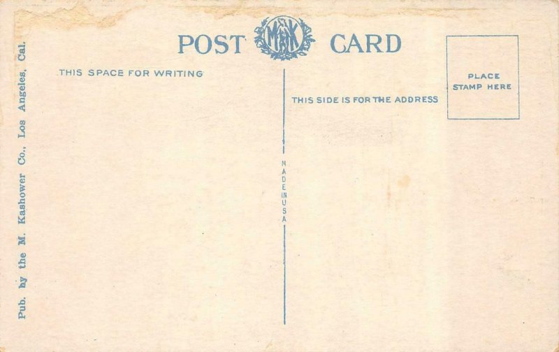 LONG BEACH, California CA   DAILY BEACH CROWD~Roller Coaster  c1920's Postcard