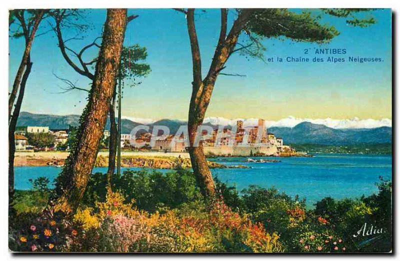 Old Postcard Antibes and the Alps Snowy Chain