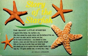 Story Of The Starfish - [MX-677]