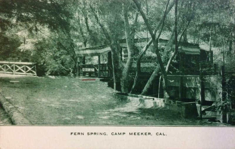 Fern Spring, Camp Meeker, CA Ice Cream Park Sonoma Co. c1910s Vintage Postcard