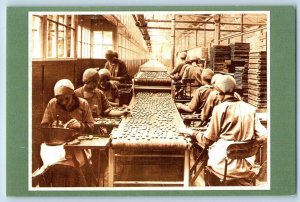 The Nostalgia Postcard Women Workers Production Line Coating Biscuits 1936