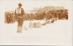 Dog Sled Competition Dogs Unknown Location Noko Real Photo Postcard F95