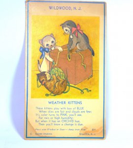 Vintage Hygroscope Card Wildwood NJ 3 Kittens Playing With Yarn