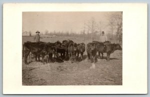 RPPC  Farmers With   Cow Herd  Postcard