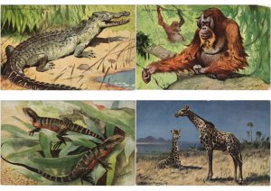 ANIMALS Mostly ARTIST SIGNED 60 Vintage Postcards (L4538)