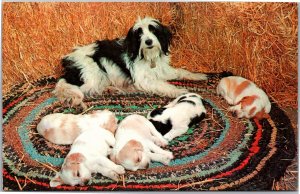 Postcard Sleepy Heads - Mom Dog and sleeping puppies on a rug in field