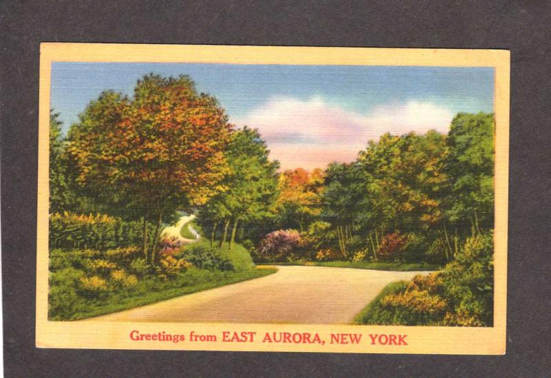 NY Greeting From East Aurora New York Linen Postcard