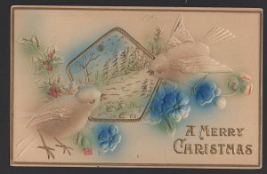 A MERRY CHRISTMAS with Birds Holly embossed pm1910 ~ DB