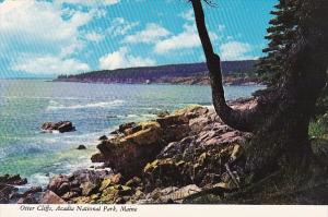 Otter Cliffs Acadia National Park Maine