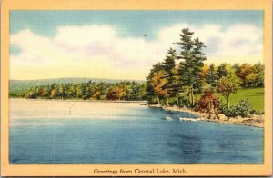 Scenic View, Greetings from Central Lake MI Vintage Postcard Q54