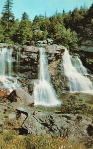 Vintage Postcard Blackwater Falls Waterfalls State Park Tucker Co. West Virginia