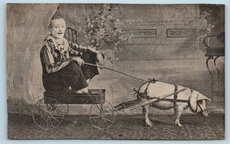 Postcard Clown Boy In Wagon Pulled By Pig 1909 T6