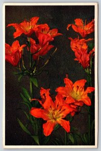Flowers~Lilium Bulbiferum Orange Lily~Printed In Switzerland~Vintage Postcard