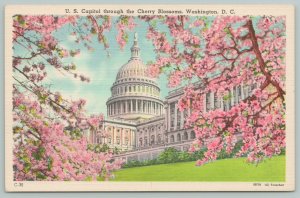 Washington DC~US Capitol Through Cherry Blossoms~1940s Linen Postcard