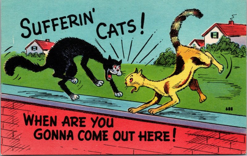 Vtg Comic Postcard Sufferin' Cats Black Cat Humor Funny Cartoon Asheville
